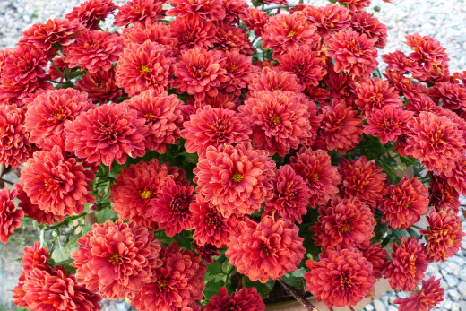 1744582 (a): :2560x1707